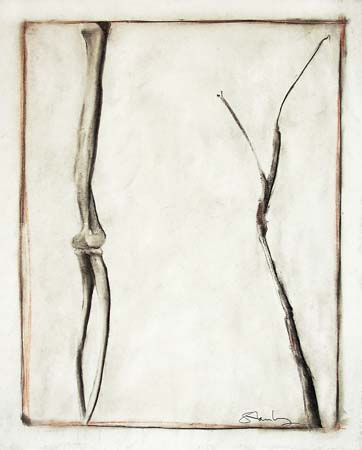 Bones and Twig